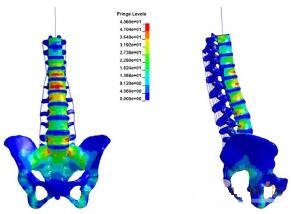 ����Ԫ����