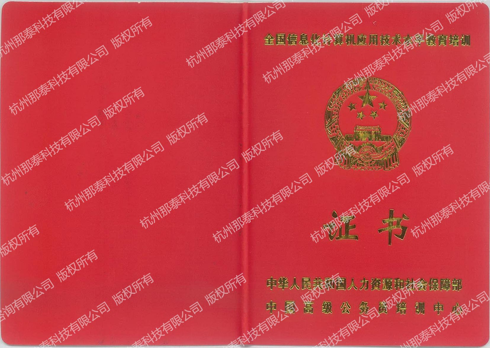 �����C������